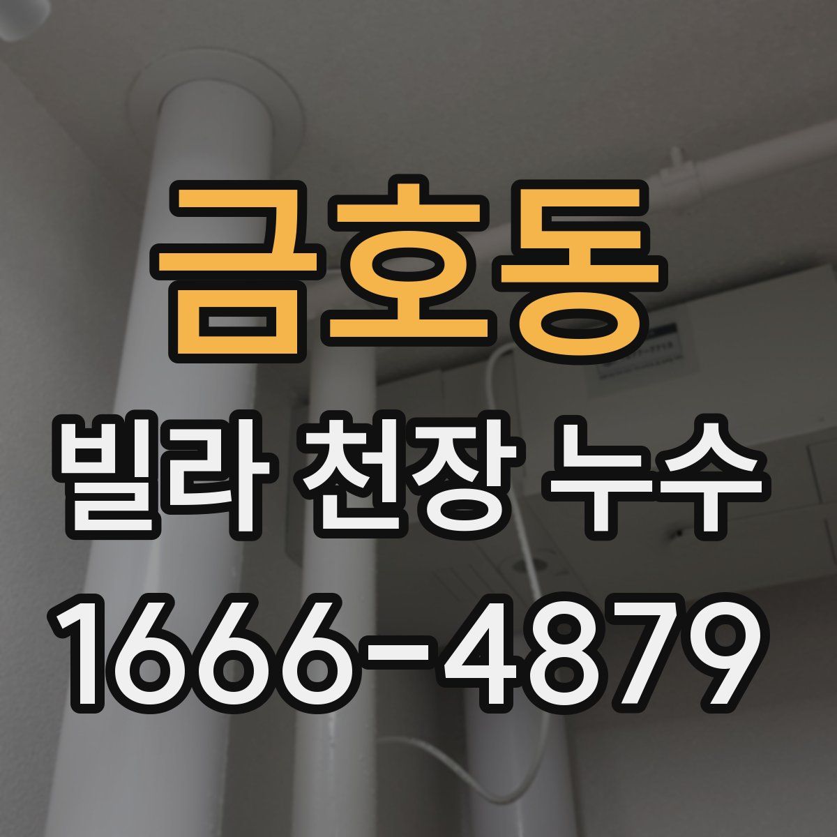 금호동 빌라 천장 누수