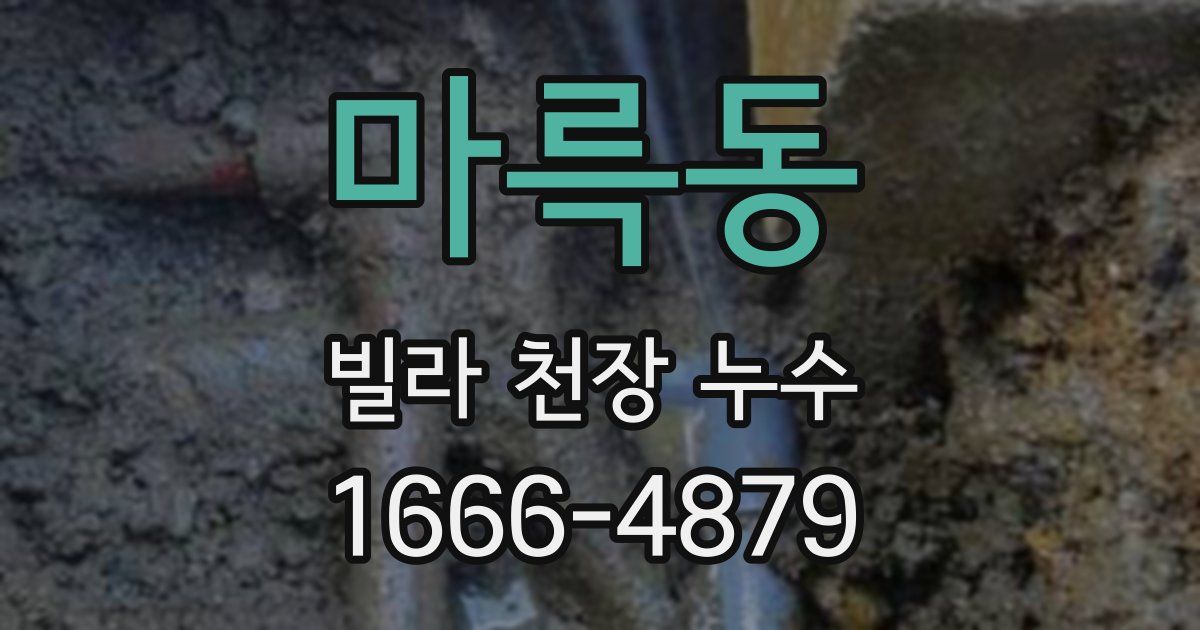 마륵동 빌라 천장 누수