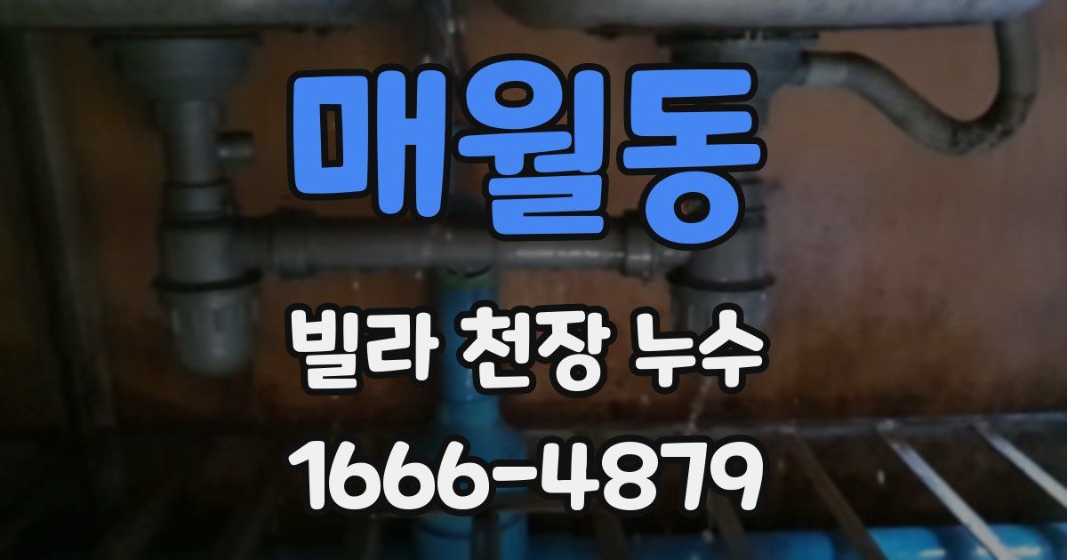 매월동 빌라 천장 누수