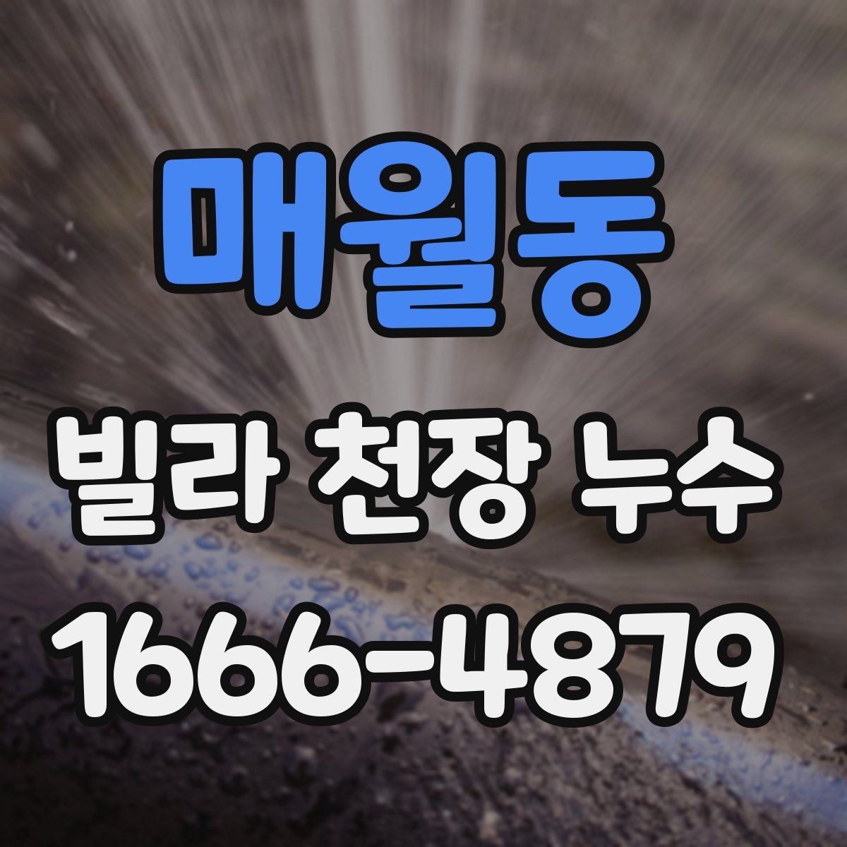 매월동 빌라 천장 누수