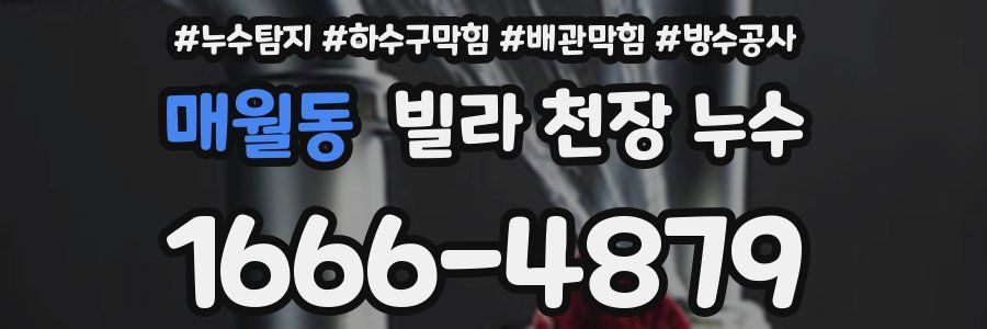 매월동 빌라 천장 누수