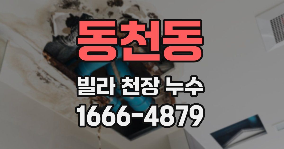 동천동 빌라 천장 누수