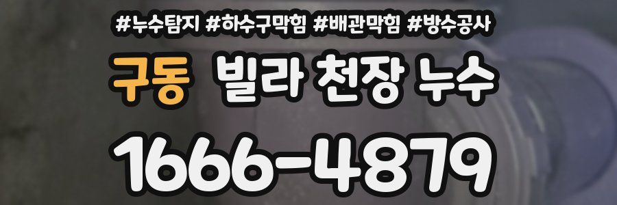 구동 빌라 천장 누수