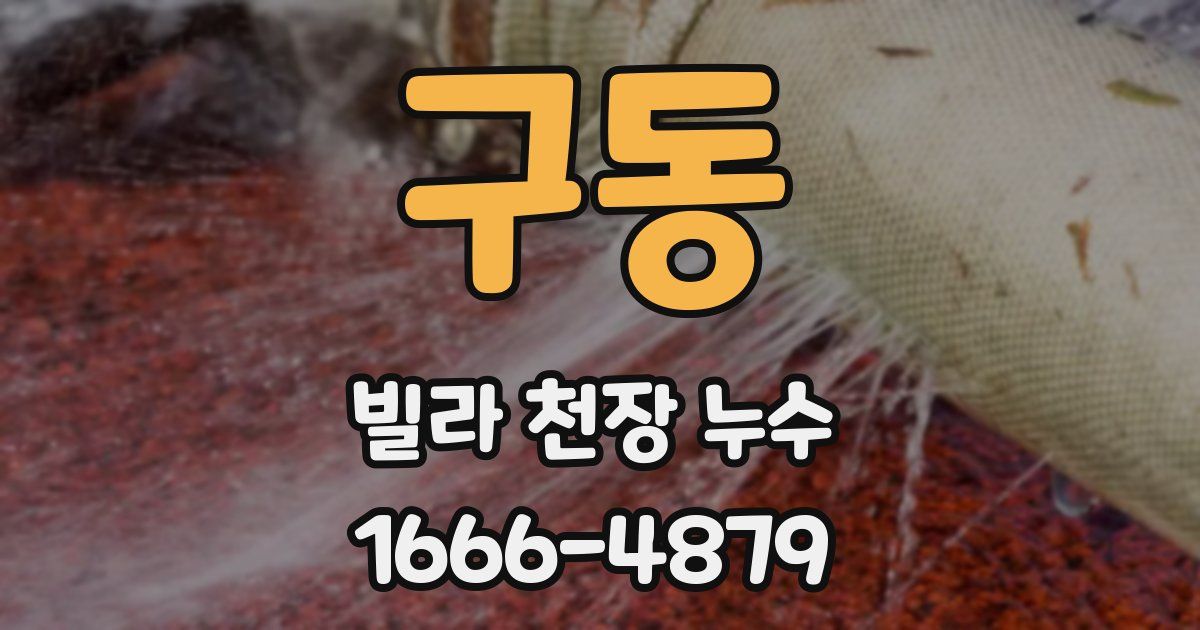 구동 빌라 천장 누수