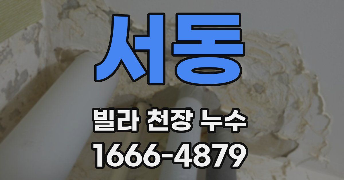 서동 빌라 천장 누수