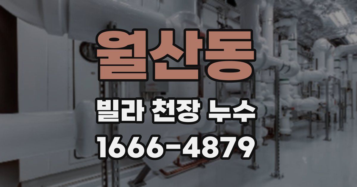 월산동 빌라 천장 누수