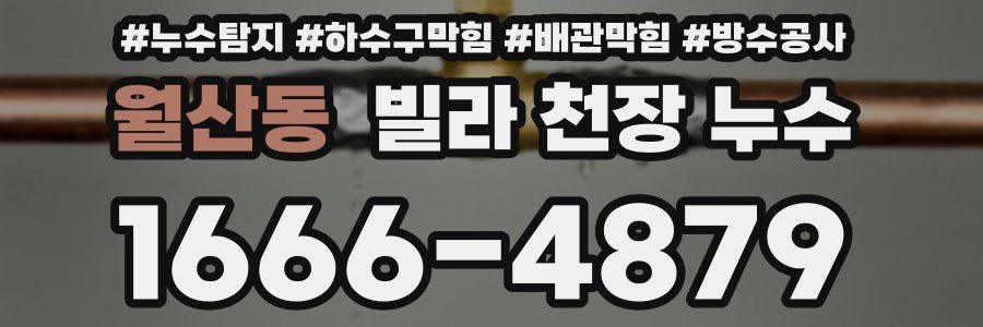 월산동 빌라 천장 누수