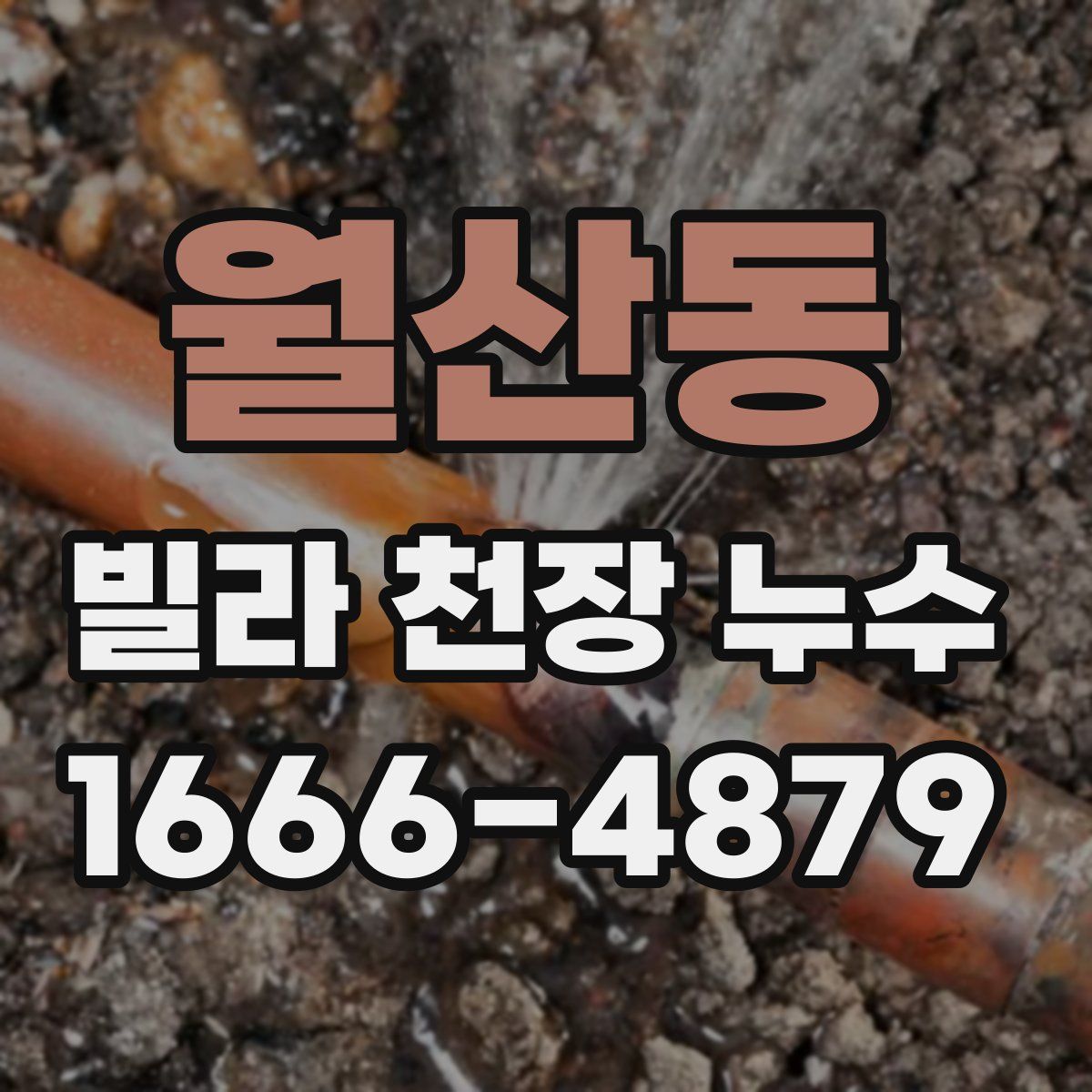 월산동 빌라 천장 누수