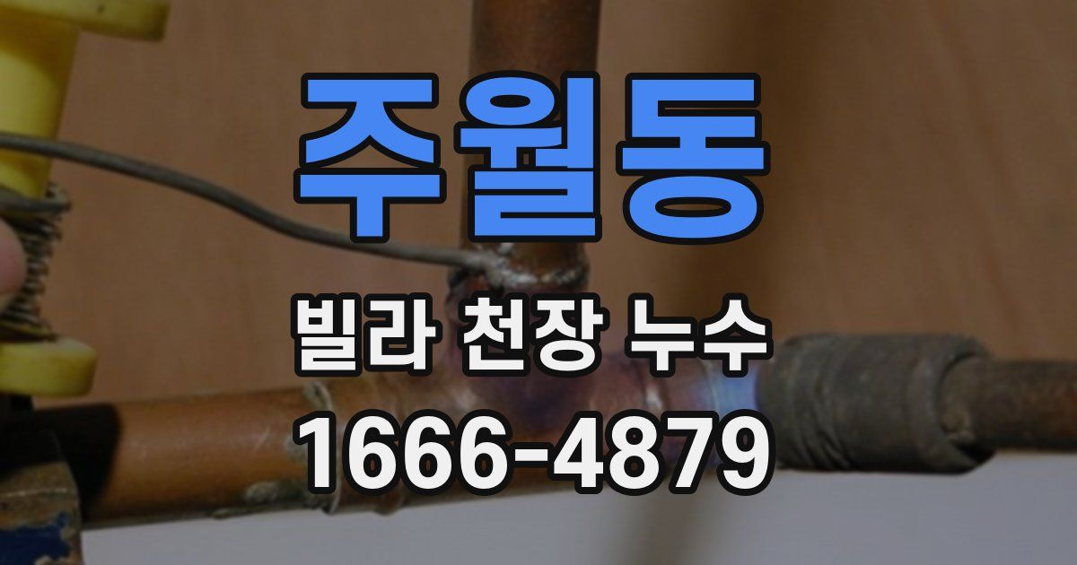 주월동 빌라 천장 누수