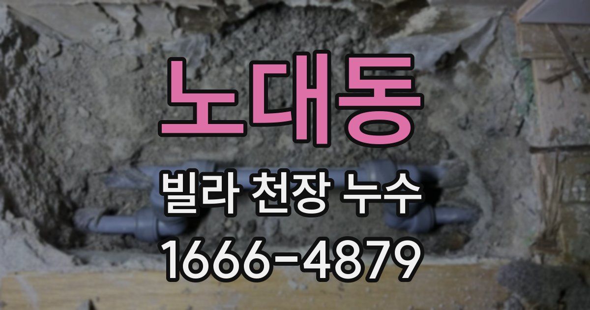 노대동 빌라 천장 누수