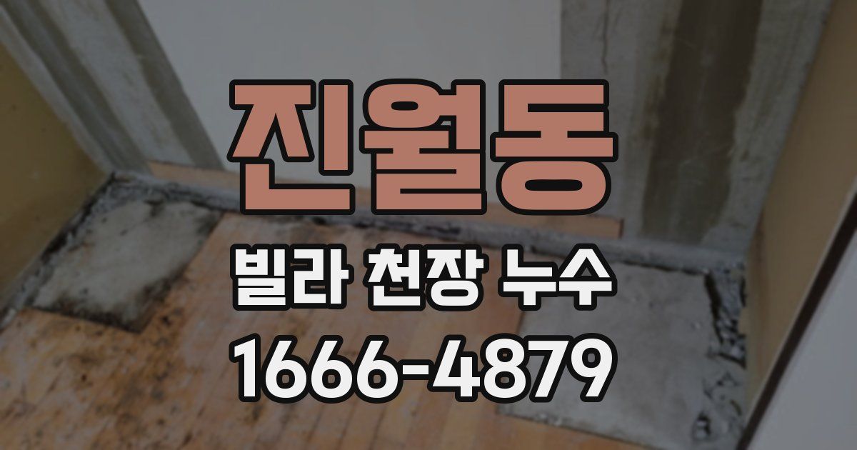 진월동 빌라 천장 누수