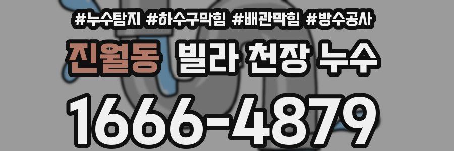 진월동 빌라 천장 누수