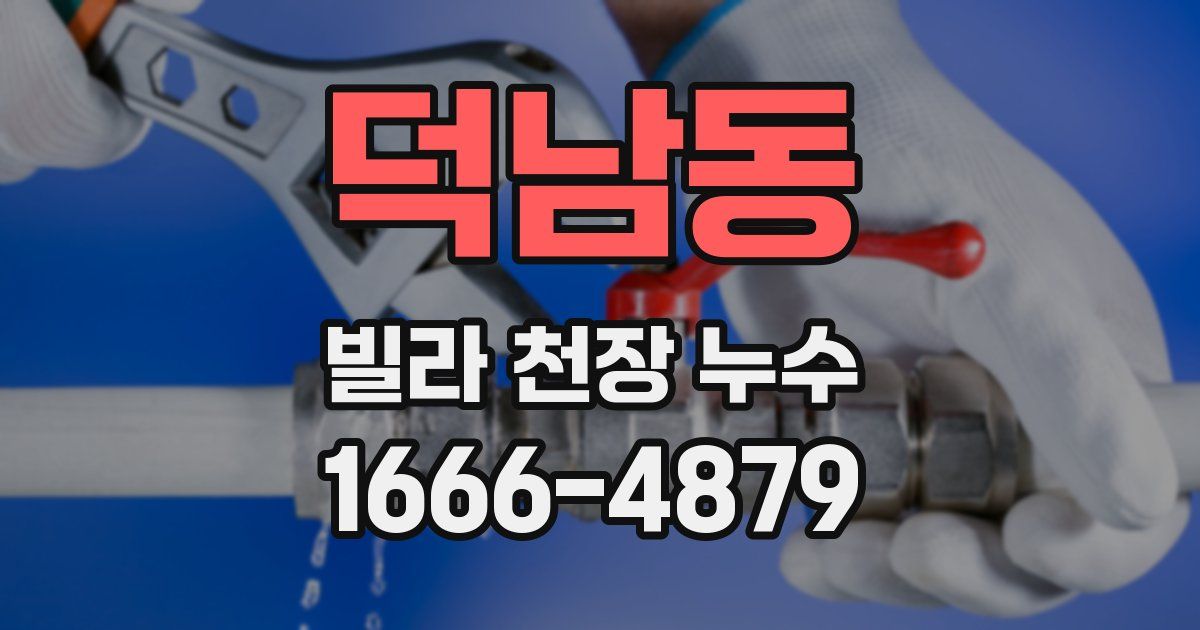 덕남동 빌라 천장 누수