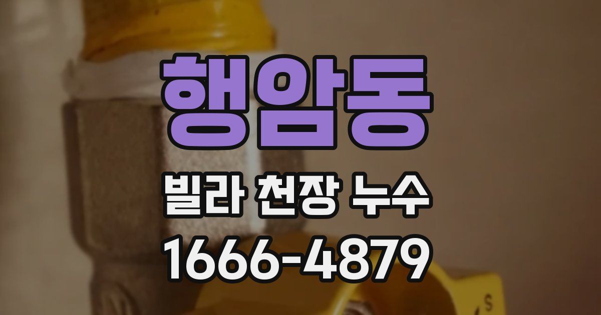 행암동 빌라 천장 누수