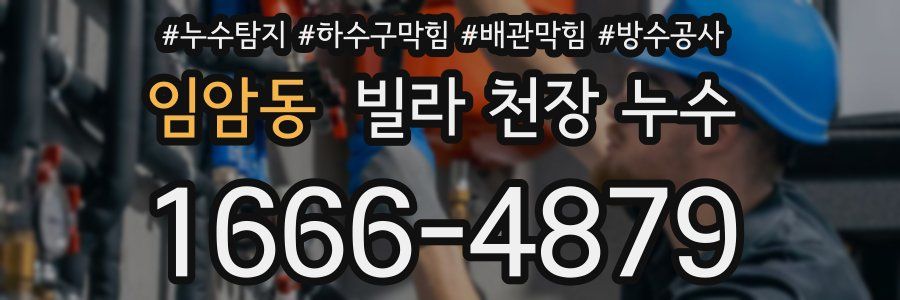임암동 빌라 천장 누수