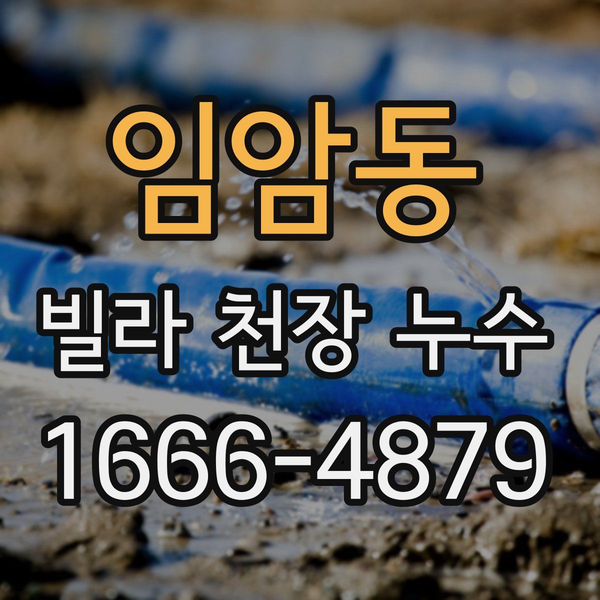 임암동 빌라 천장 누수
