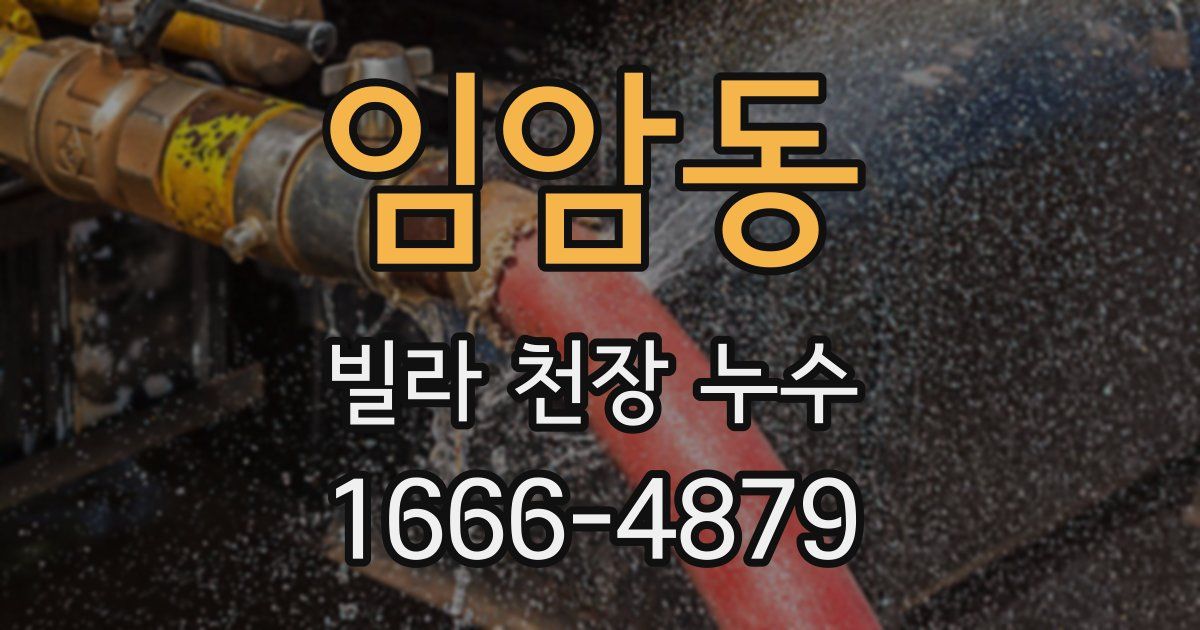 임암동 빌라 천장 누수