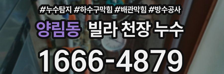 양림동 빌라 천장 누수