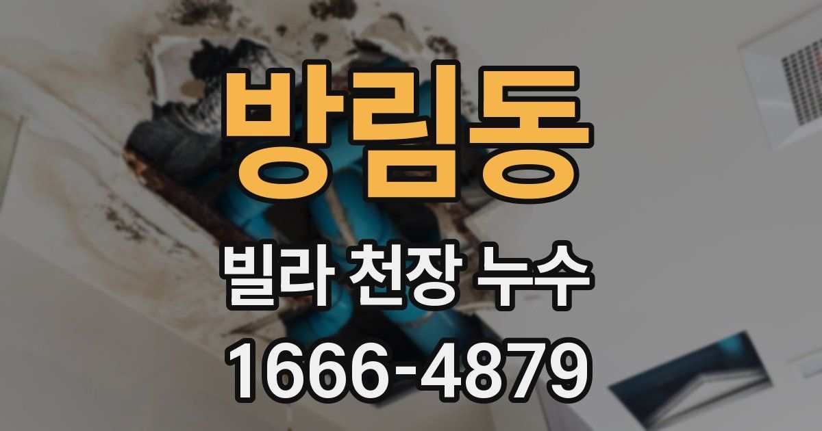 방림동 빌라 천장 누수