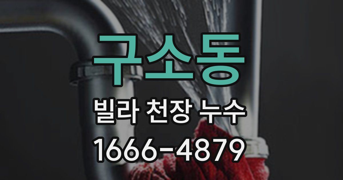 구소동 빌라 천장 누수