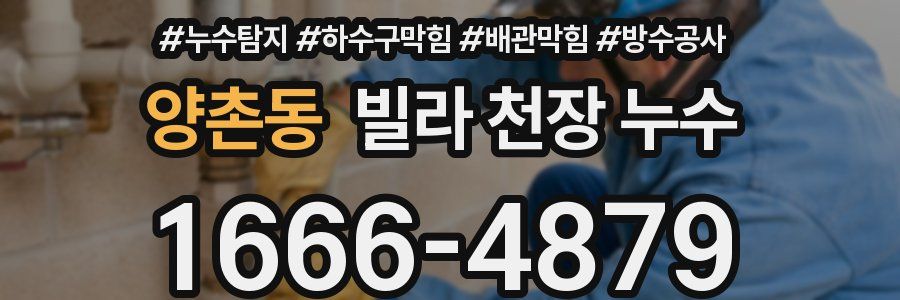 양촌동 빌라 천장 누수