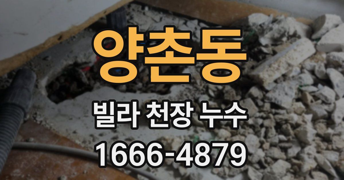 양촌동 빌라 천장 누수