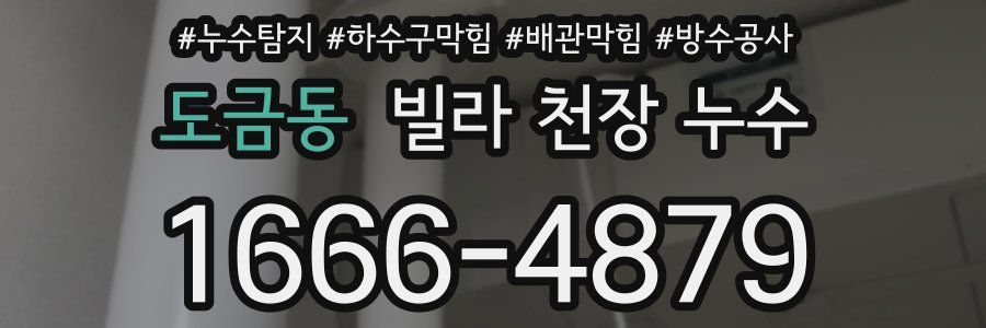 도금동 빌라 천장 누수