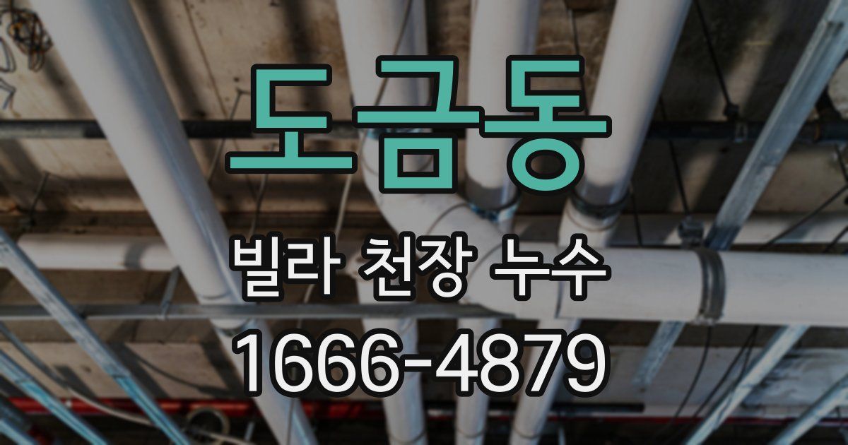 도금동 빌라 천장 누수