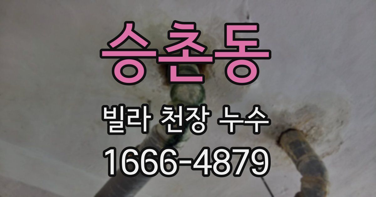 승촌동 빌라 천장 누수