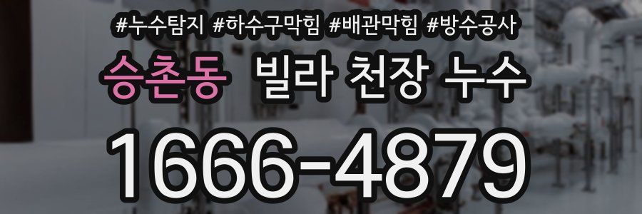 승촌동 빌라 천장 누수
