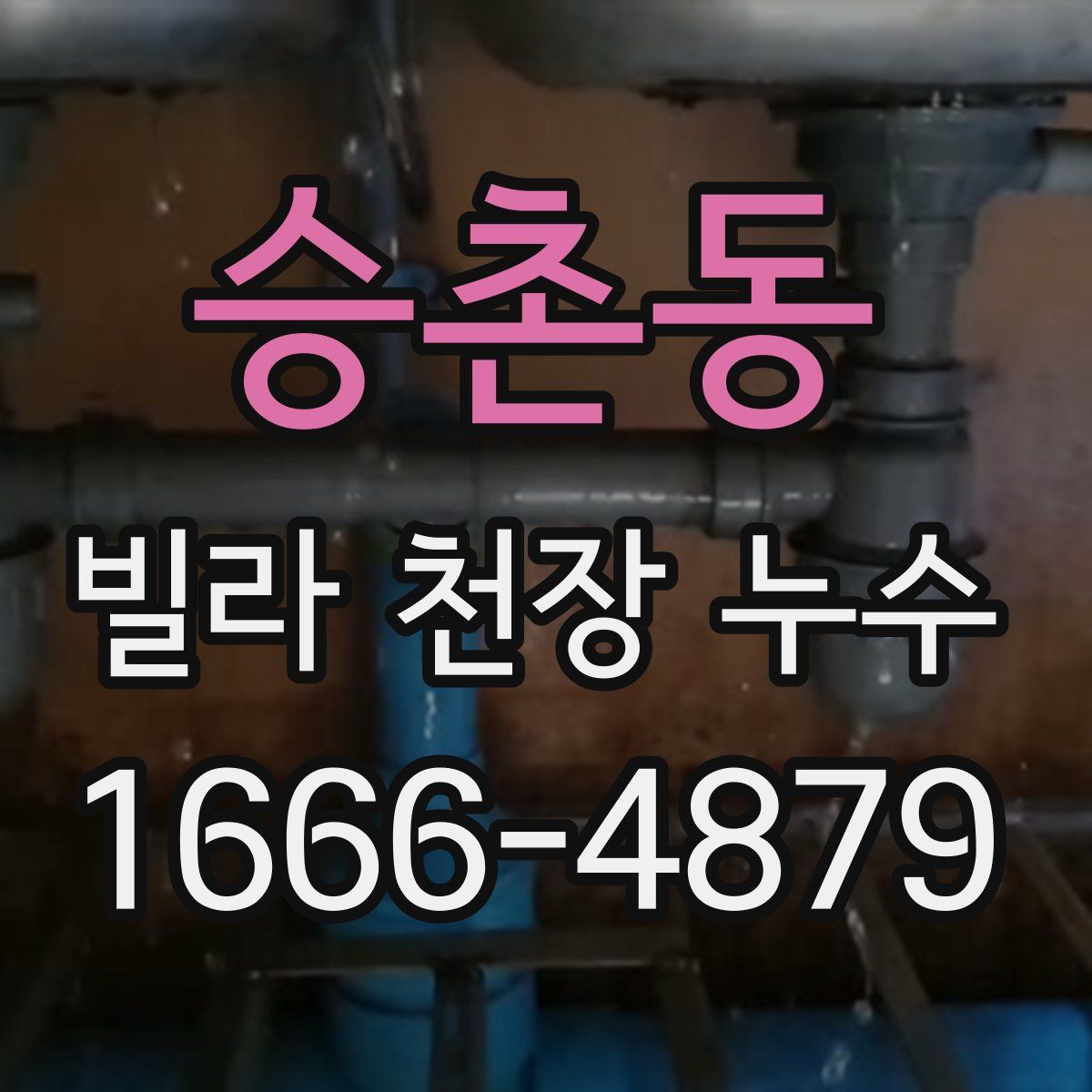 승촌동 빌라 천장 누수