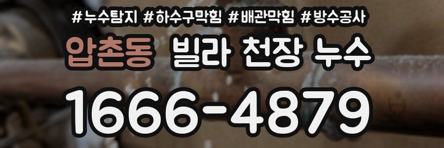 압촌동 빌라 천장 누수