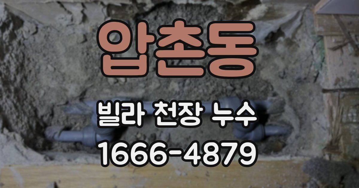 압촌동 빌라 천장 누수