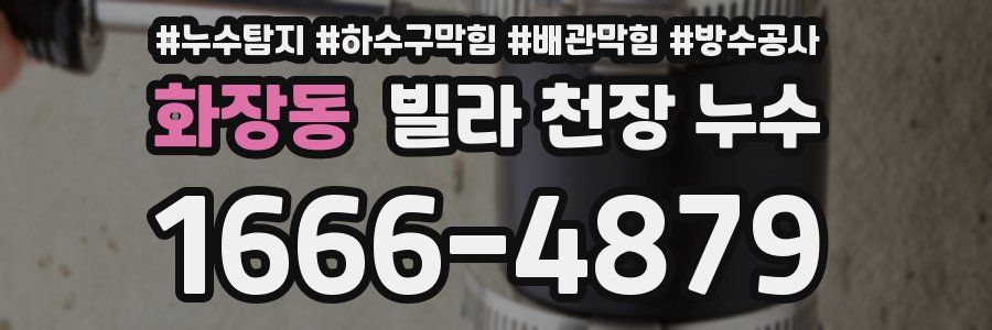 화장동 빌라 천장 누수