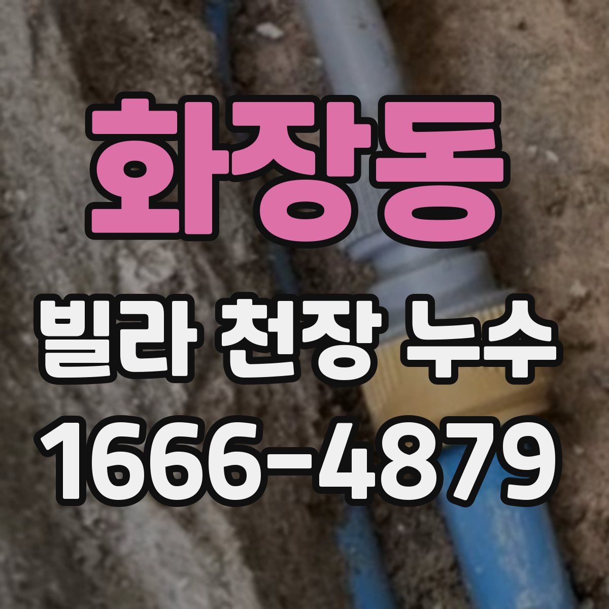 화장동 빌라 천장 누수