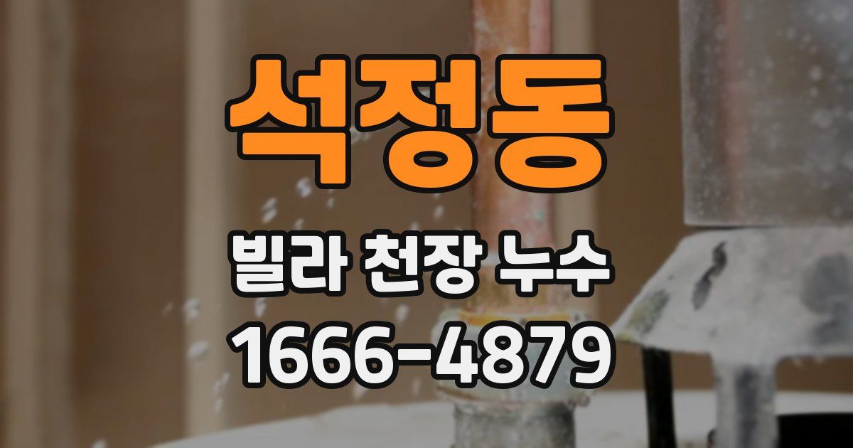 석정동 빌라 천장 누수