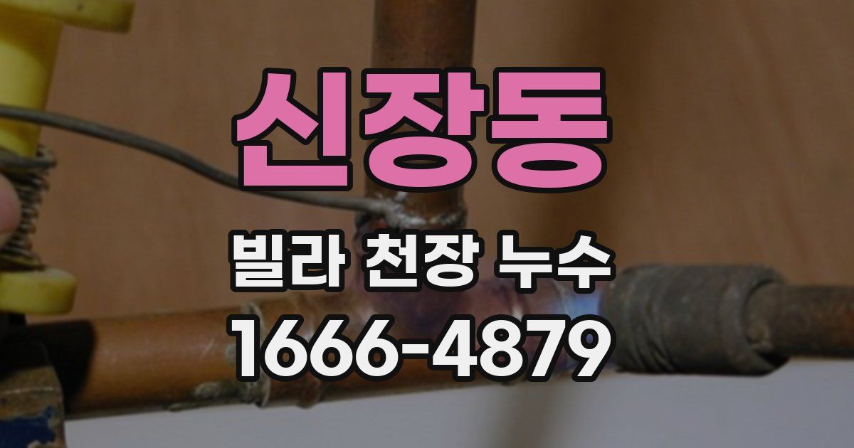 신장동 빌라 천장 누수