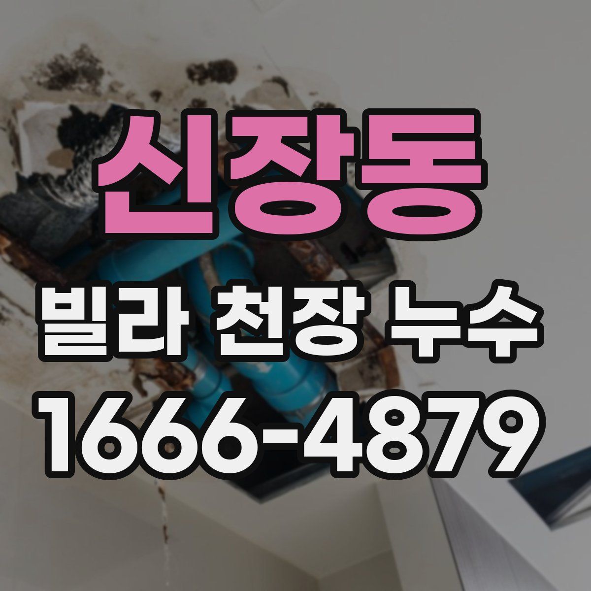신장동 빌라 천장 누수