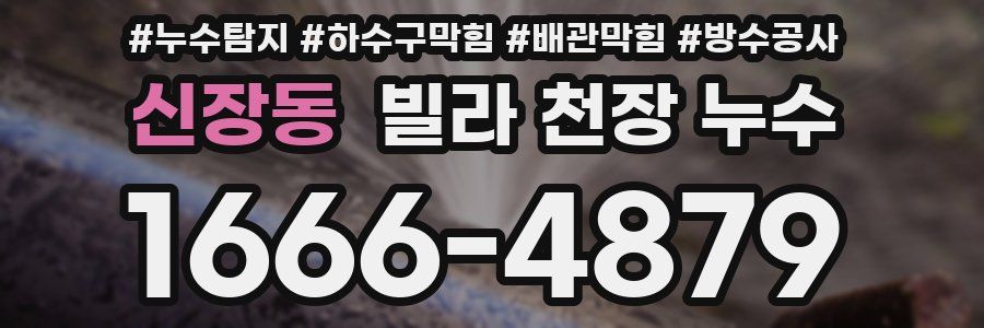 신장동 빌라 천장 누수