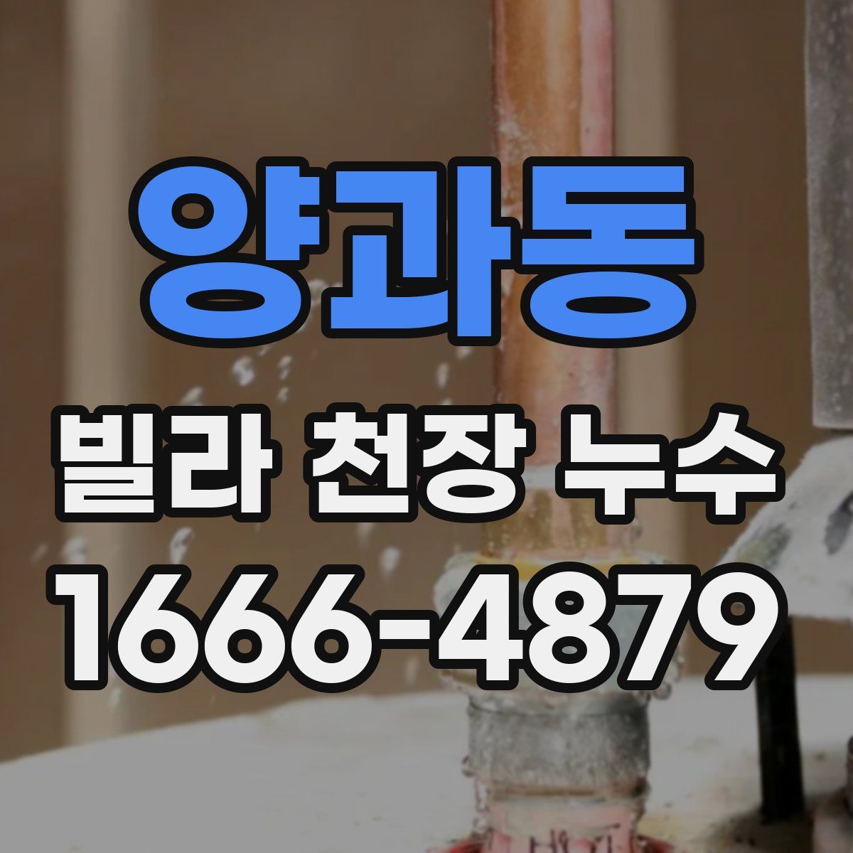 양과동 빌라 천장 누수