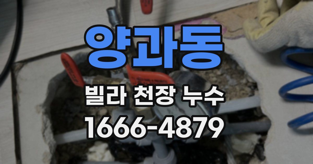 양과동 빌라 천장 누수