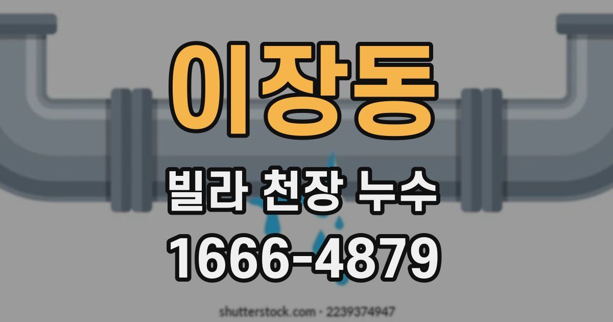 이장동 빌라 천장 누수