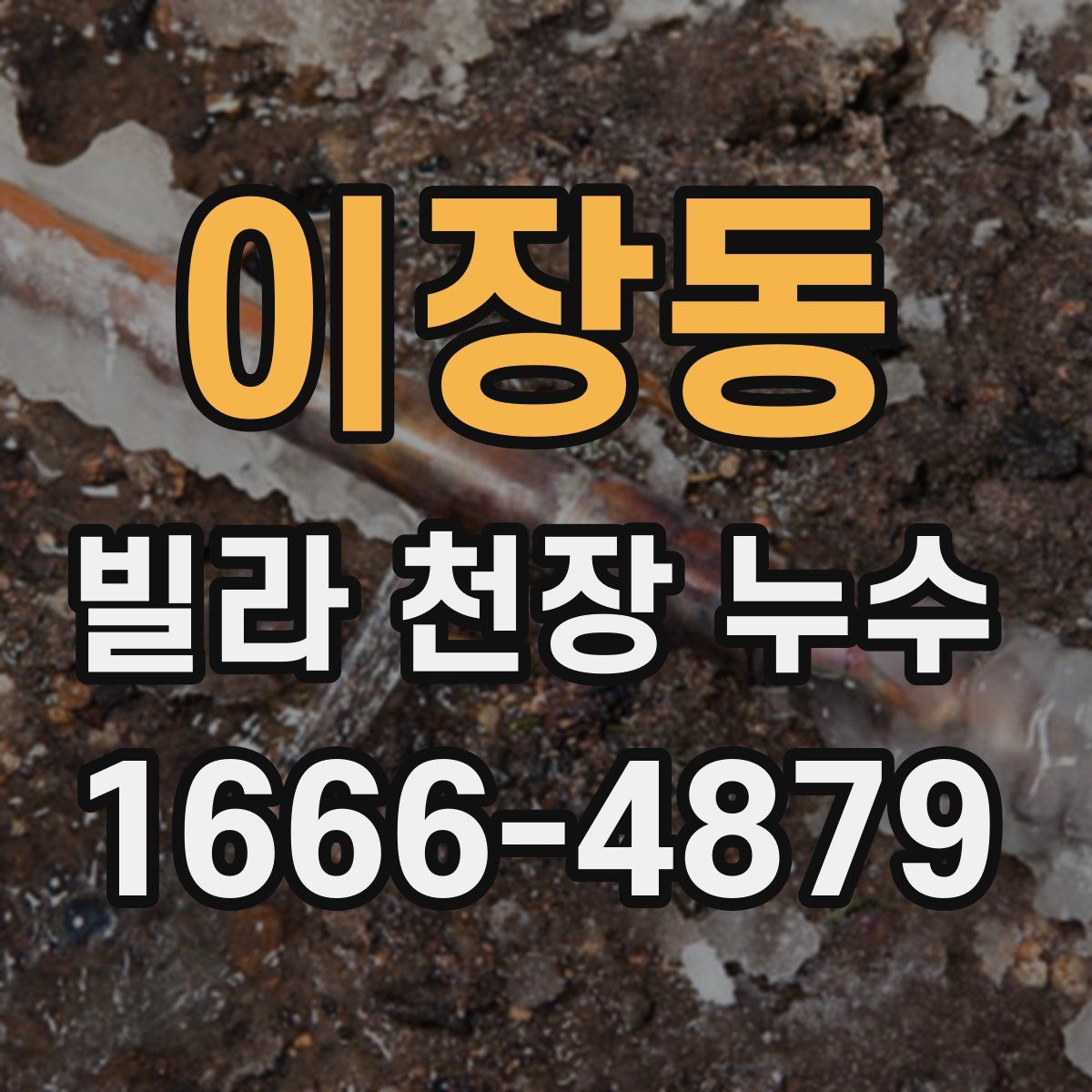 이장동 빌라 천장 누수
