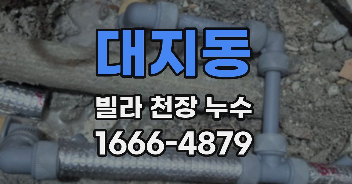 대지동 빌라 천장 누수