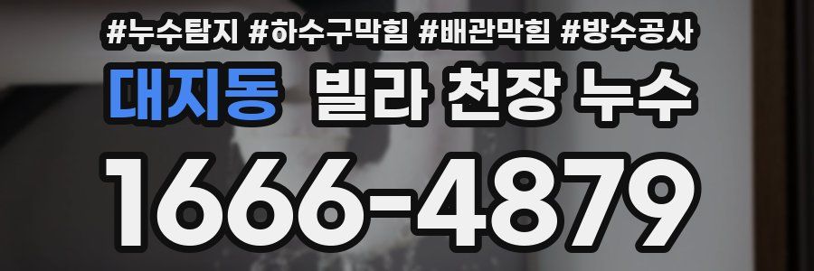 대지동 빌라 천장 누수
