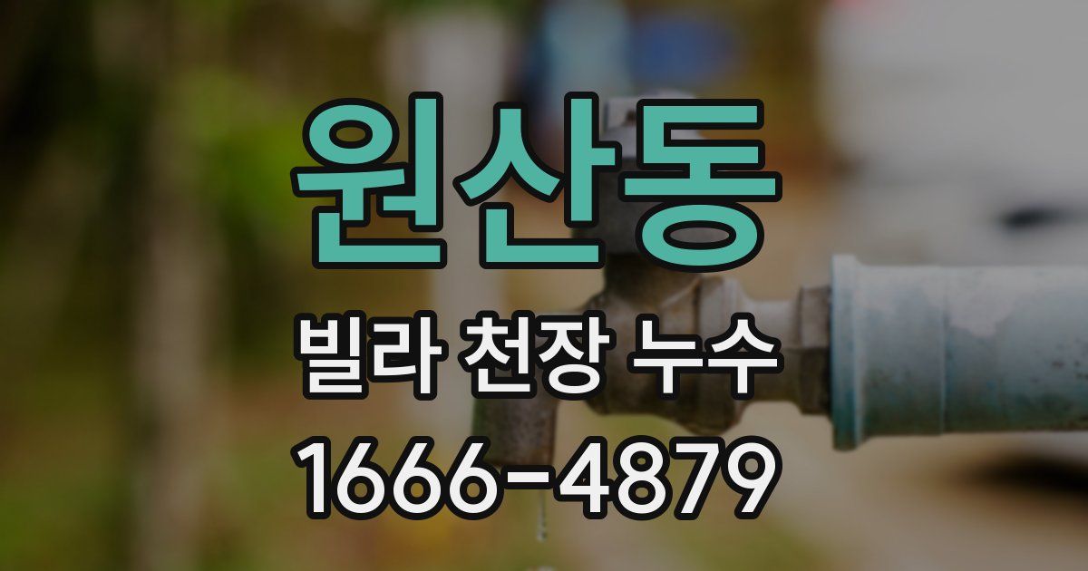 원산동 빌라 천장 누수