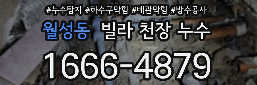 월성동 빌라 천장 누수