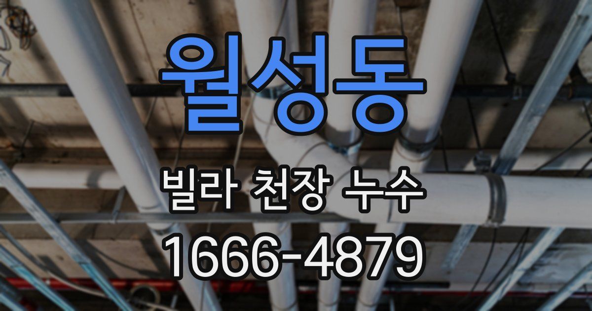 월성동 빌라 천장 누수