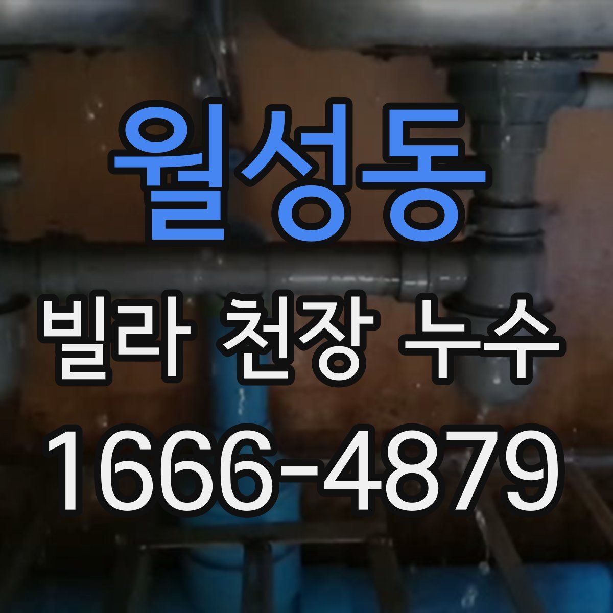 월성동 빌라 천장 누수
