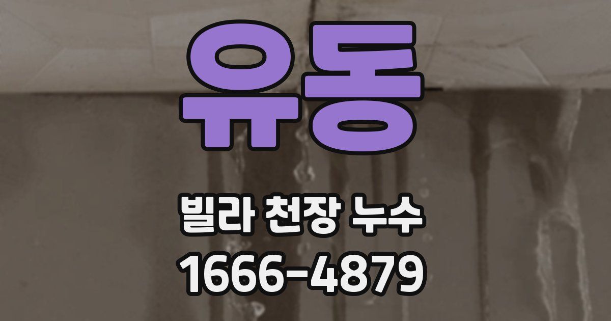 유동 빌라 천장 누수